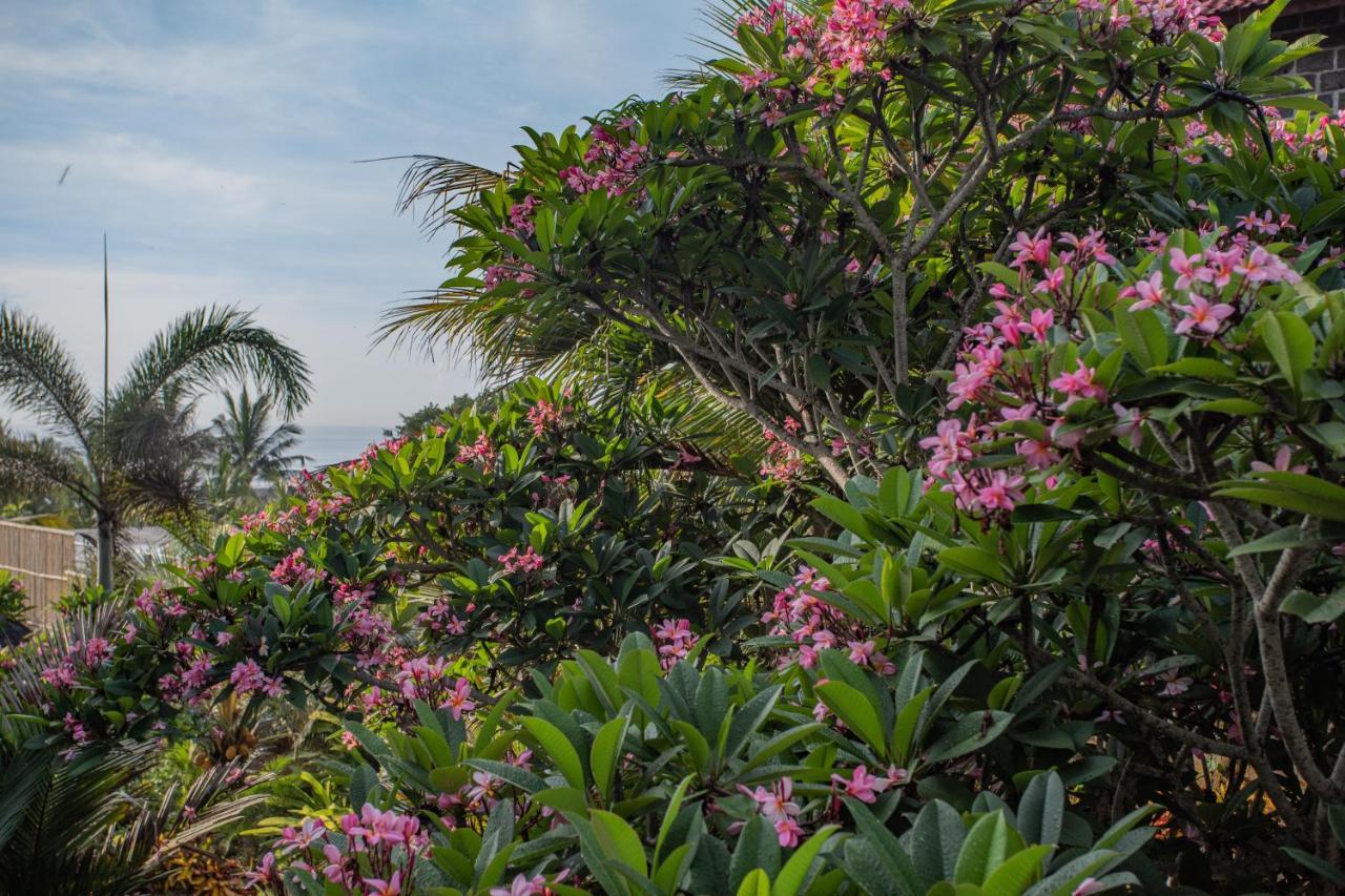 Balian Surf Villas Selemadeg  Esterno foto